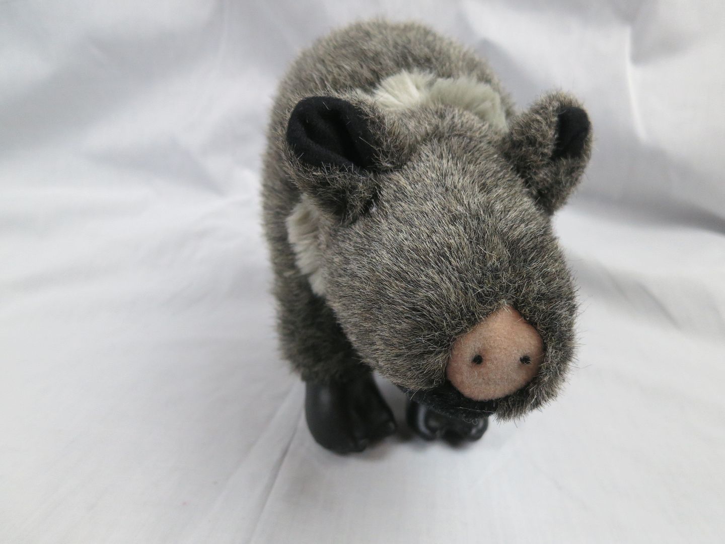 stuffed javelina toy